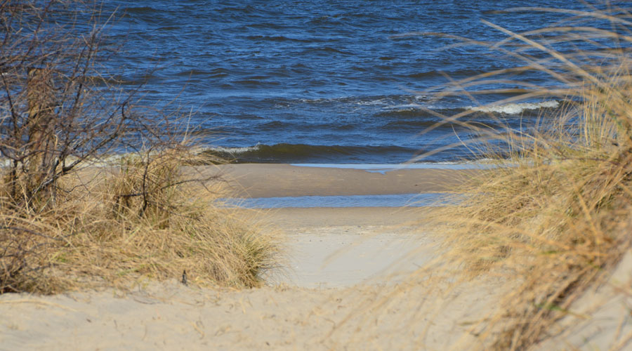 Zinnowitzer Strand an der Ostsee